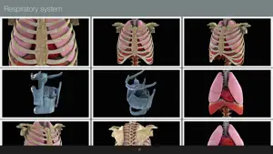 Anatomed - 3D医学图像截图3