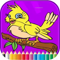 鳥圖畫書 - 活動小子