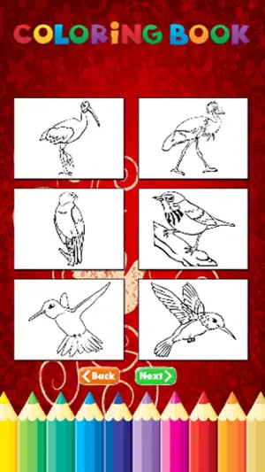 鳥圖畫書 - 活動小子截图4