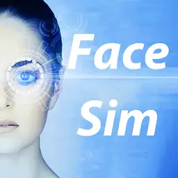 面部模拟 - FaceSim