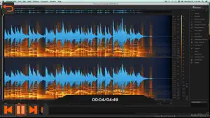 Advanced Audio Editing截图3