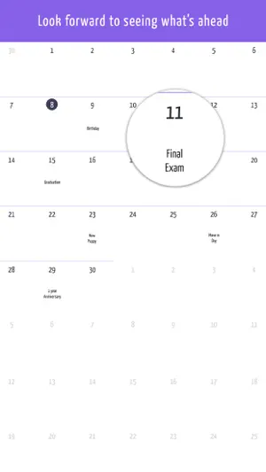 重大节日倒数－生日，假期和其他日子倒数截图3