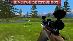 Best Shooter Deer:Hunting For截图1