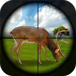 Best Shooter Deer:Hunting For