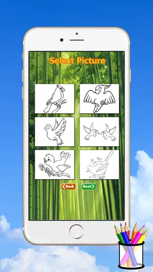 鸟图画书为孩子截图4