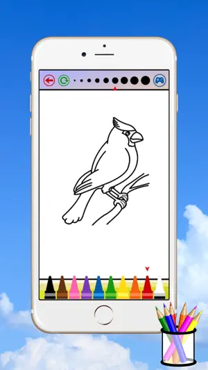 鸟图画书为孩子截图3