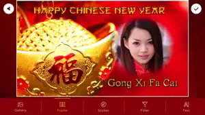Chinese New Year - 中国新年截图2