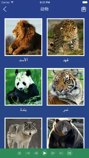 阿语单词卡 - 学习阿拉伯语每日常用基础词汇教程截图2