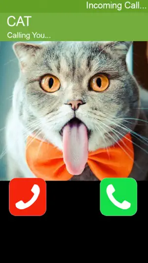 Call Cat 2截图2