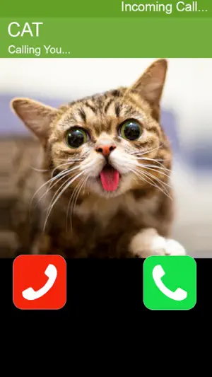 Call Cat 2截图3